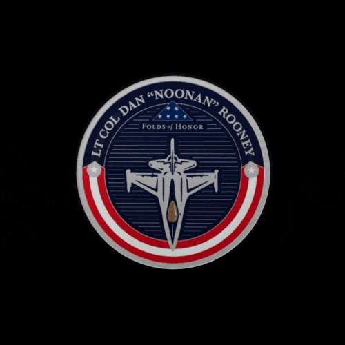 Fighter Pilot Challenge Coin